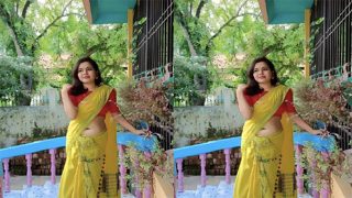 Desi Girl Chick Doggy Style Fucking
